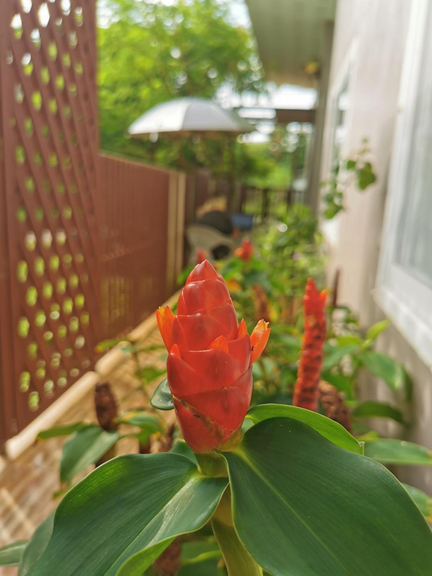 De​ Lanta Place Ko Lanta Exteriör bild