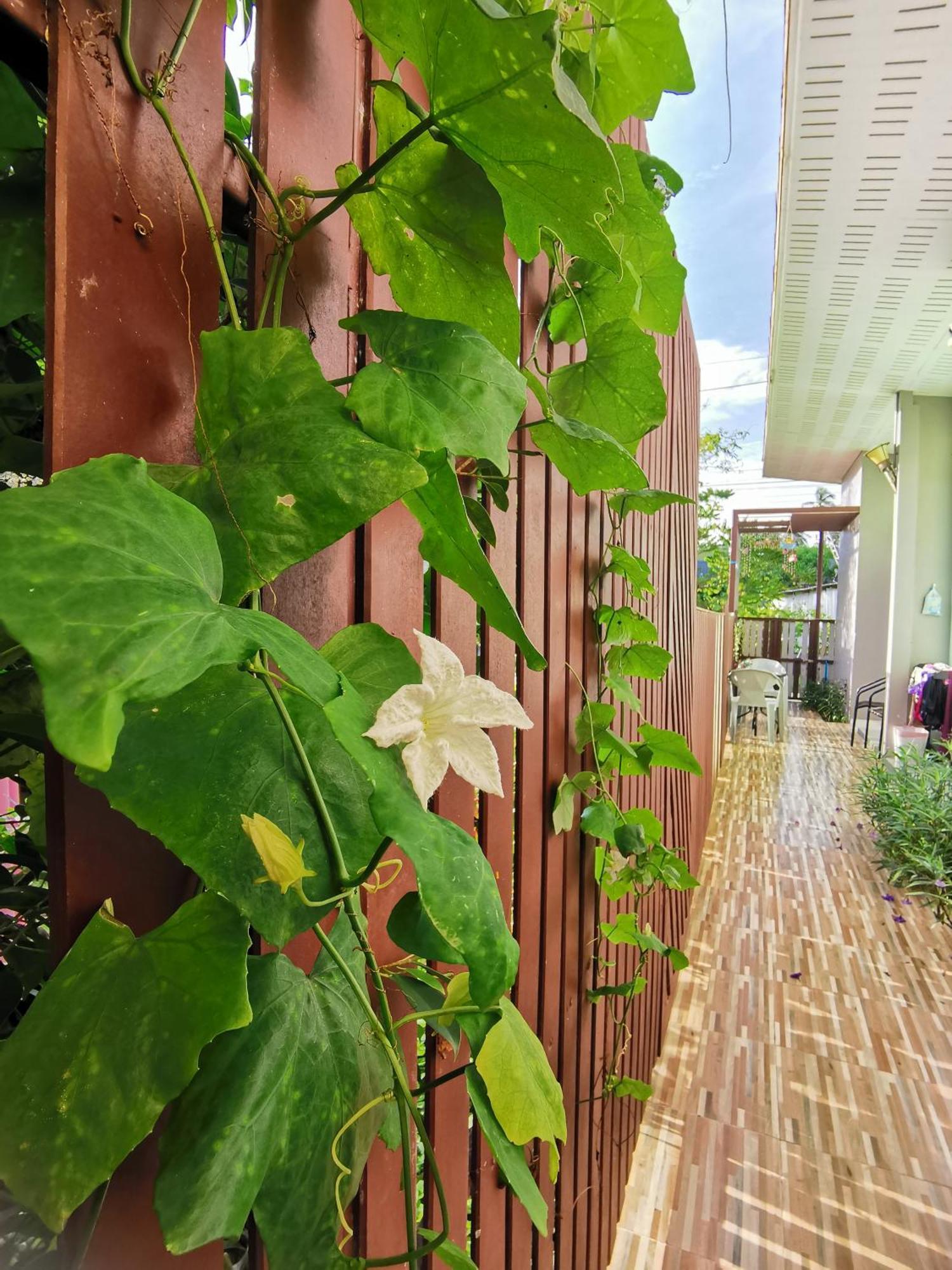 De​ Lanta Place Ko Lanta Rum bild